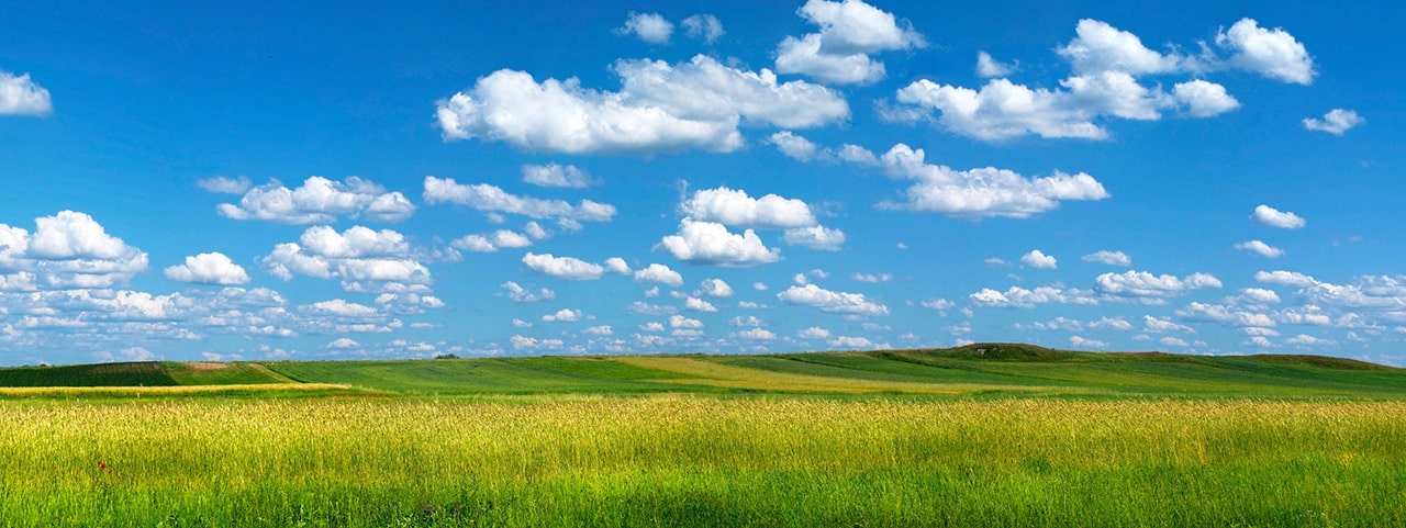 LZ Betriebsrenten im Taunus